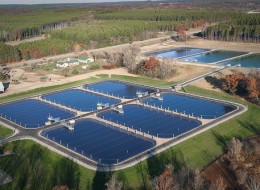 Biogas Production at Aquaculture Farms