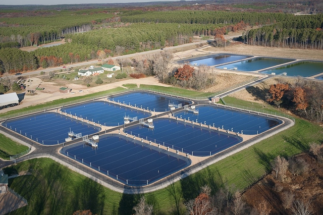 Biogas Plant Optimizes Wastewater Treatment
