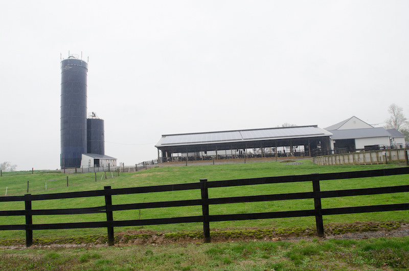 Biogas production process