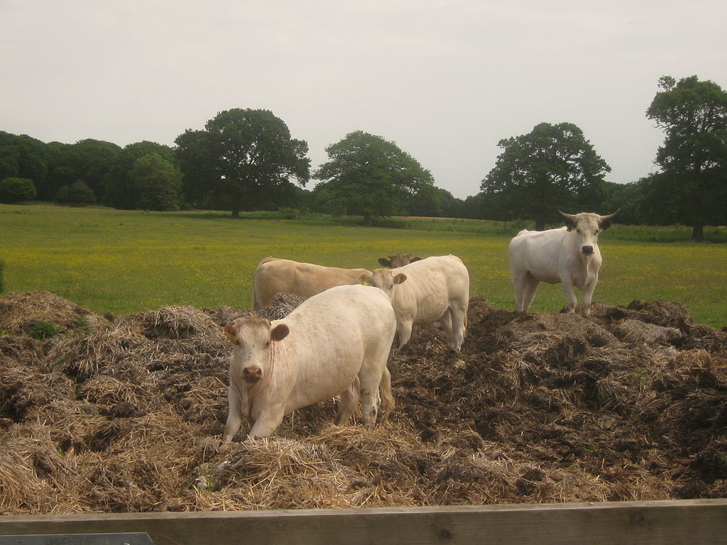 Methane from Manure: Could Farms be Power Plants of the Future Methane from Manure: Could Farms be Power Plants of the Future