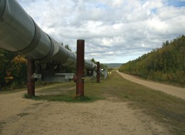 Renewable natural gas incentives can help offset pipeline interconnection costs
