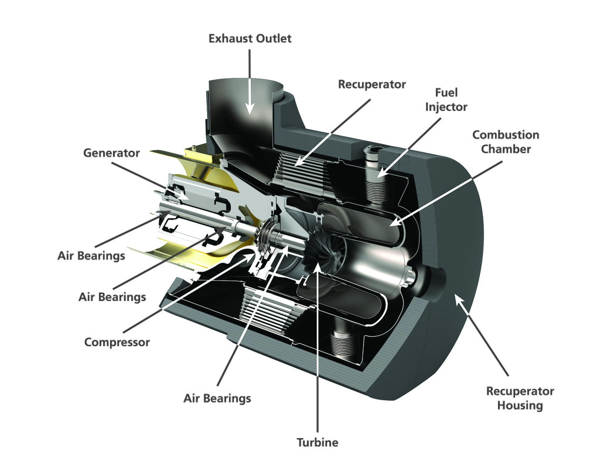 Combusting biogas in microturbine engines