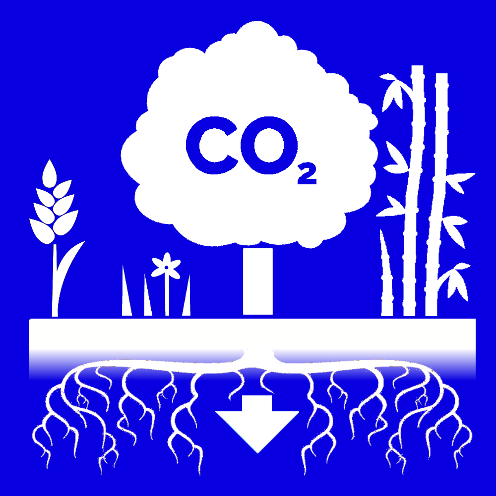 Carbon Capture and Storage Technologies could help us get carbon neutral