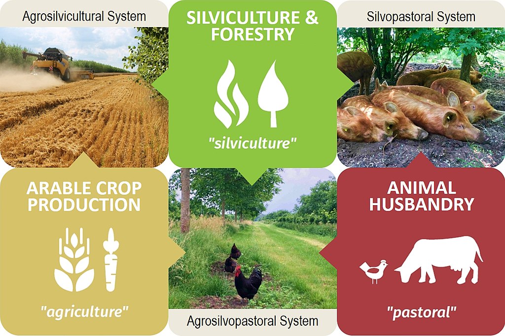 Different methods of food production