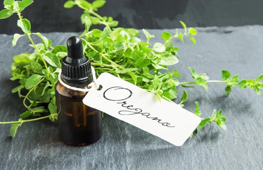 Medicinal Properties Of Oil Of Wild Oregano