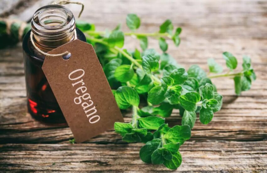 Australia’s First Wild Oregano Oil, Drops, Capsules Made by Australian