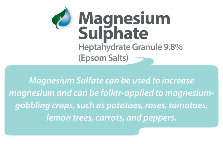 magnesium_sulphate